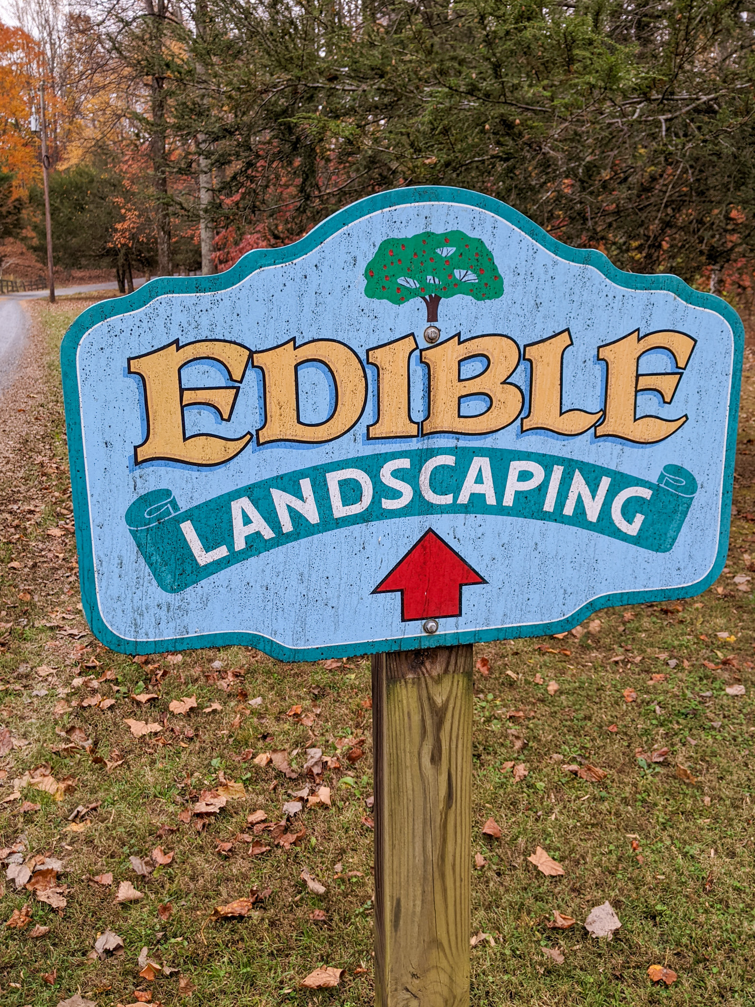 Edible Landscaping