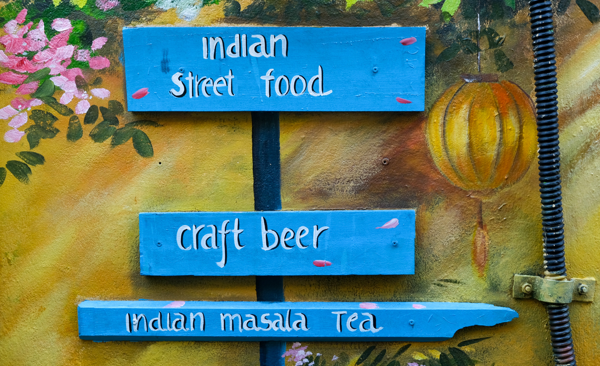 Indian Street Food