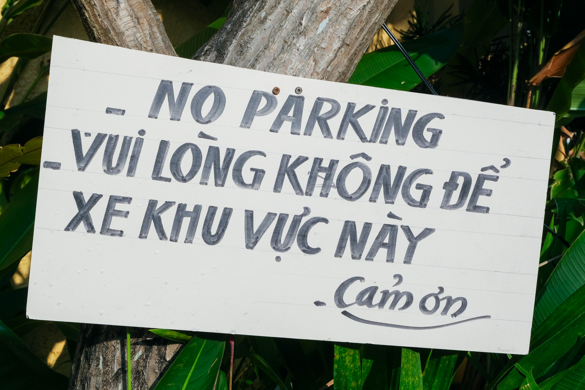 No Parking