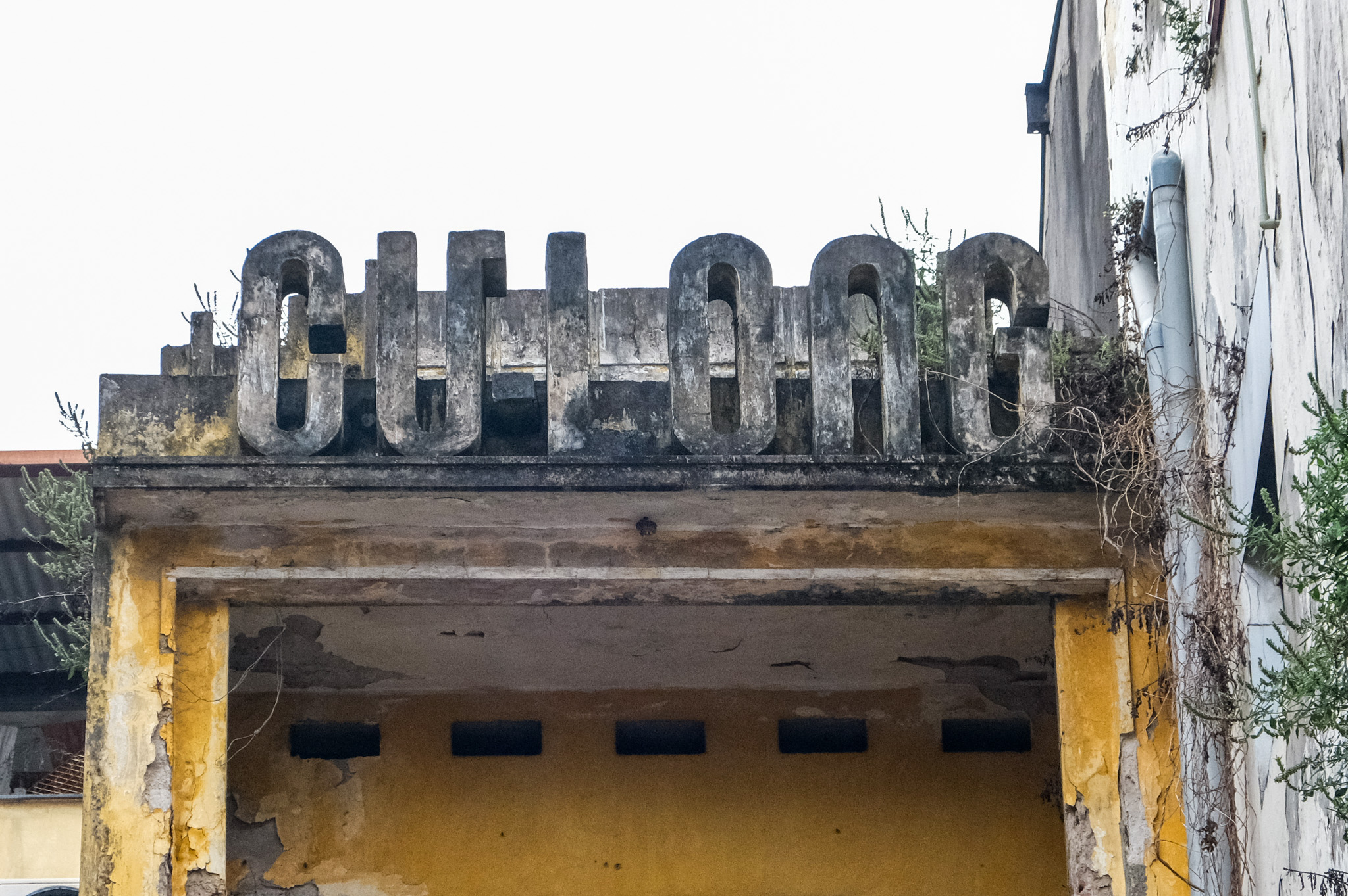 Cự Long