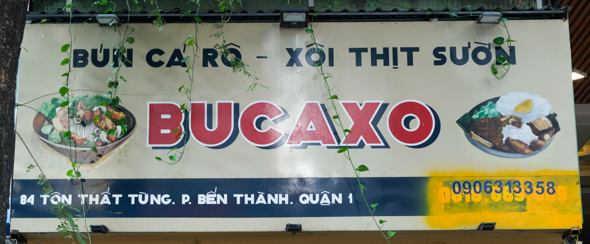 Bucaxo